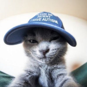 Meet your Posher, Casey